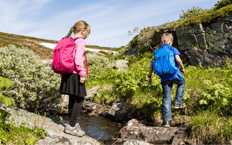 Nature Nurture- The Healing Power of the Great Outdoors for Kids