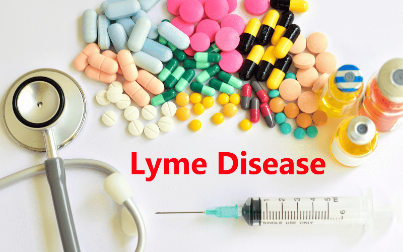 Introduction: The Stealthy Invasion of Lyme Disease