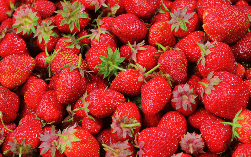 Fresas: un dulce regalo para las dietas bajas en potasio