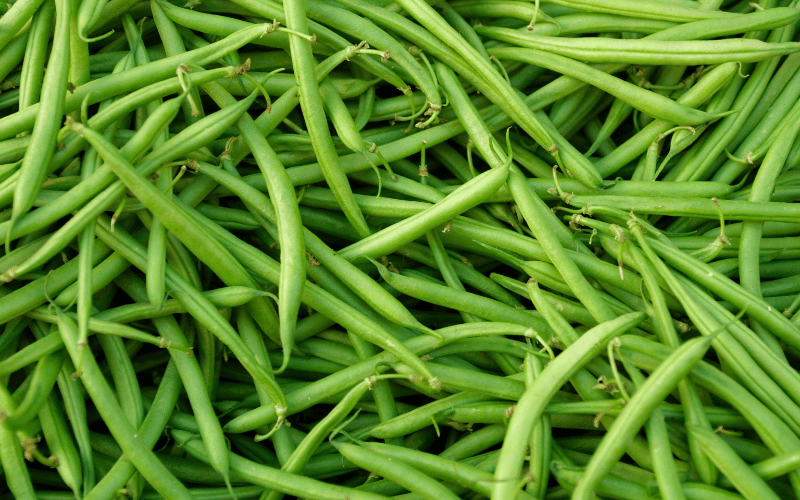 Judías verdes: una potencia vegetal baja en potasio